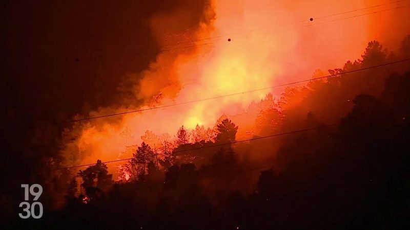Canicule intense et feux de forêt : l’Europe du Sud sous pression extrême