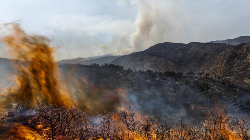 Émissions de carbone en Europe atteignent un record en 2025 après les incendies, avec une contribution majeure de l’Espagne et du Portugal