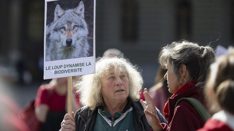 À Berne, des centaines de manifestants exigent l’arrêt des tirs de loups
