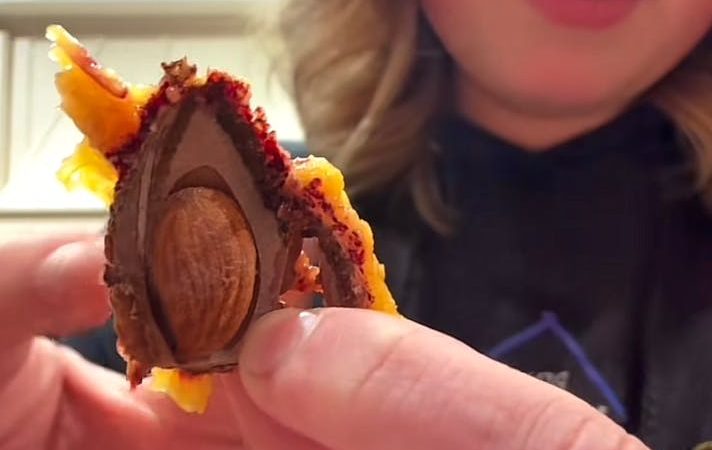 Noyau fendu dans un fruit : danger ou non, ce qu’il faut savoir