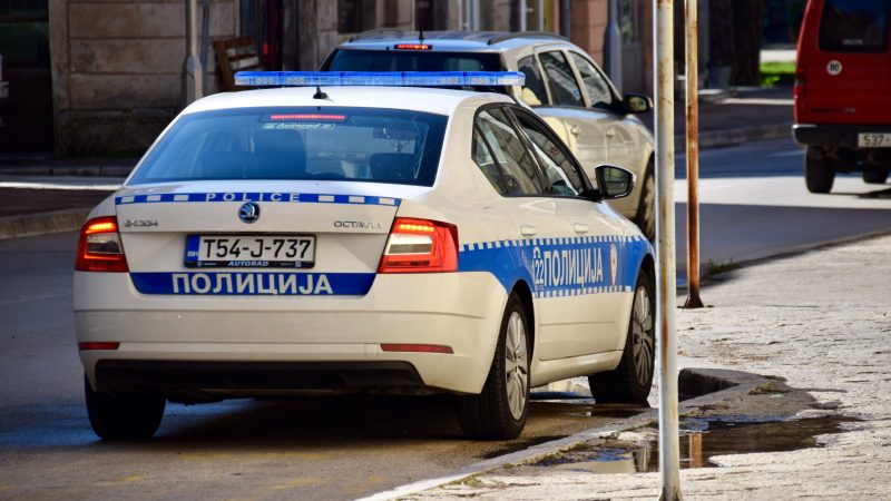 Razzia en Bosnie dans une arène de combats de chiens près de Derventa : 14 arrestations et saisies lors d’une descente nocturne