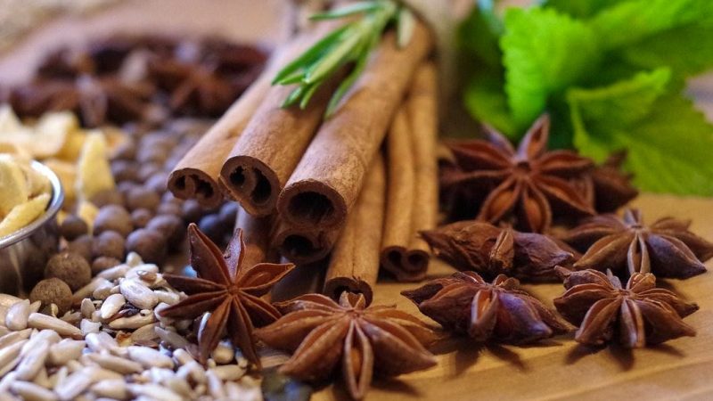 Indonésie: traces de radioactivité détectées dans des clous de girofle de Sumatra, après des crevettes contaminées