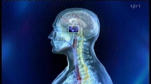 Plateformes numériques en Suisse : nouvelles obligations de transparence et mécanismes de recours pour les utilisateurs