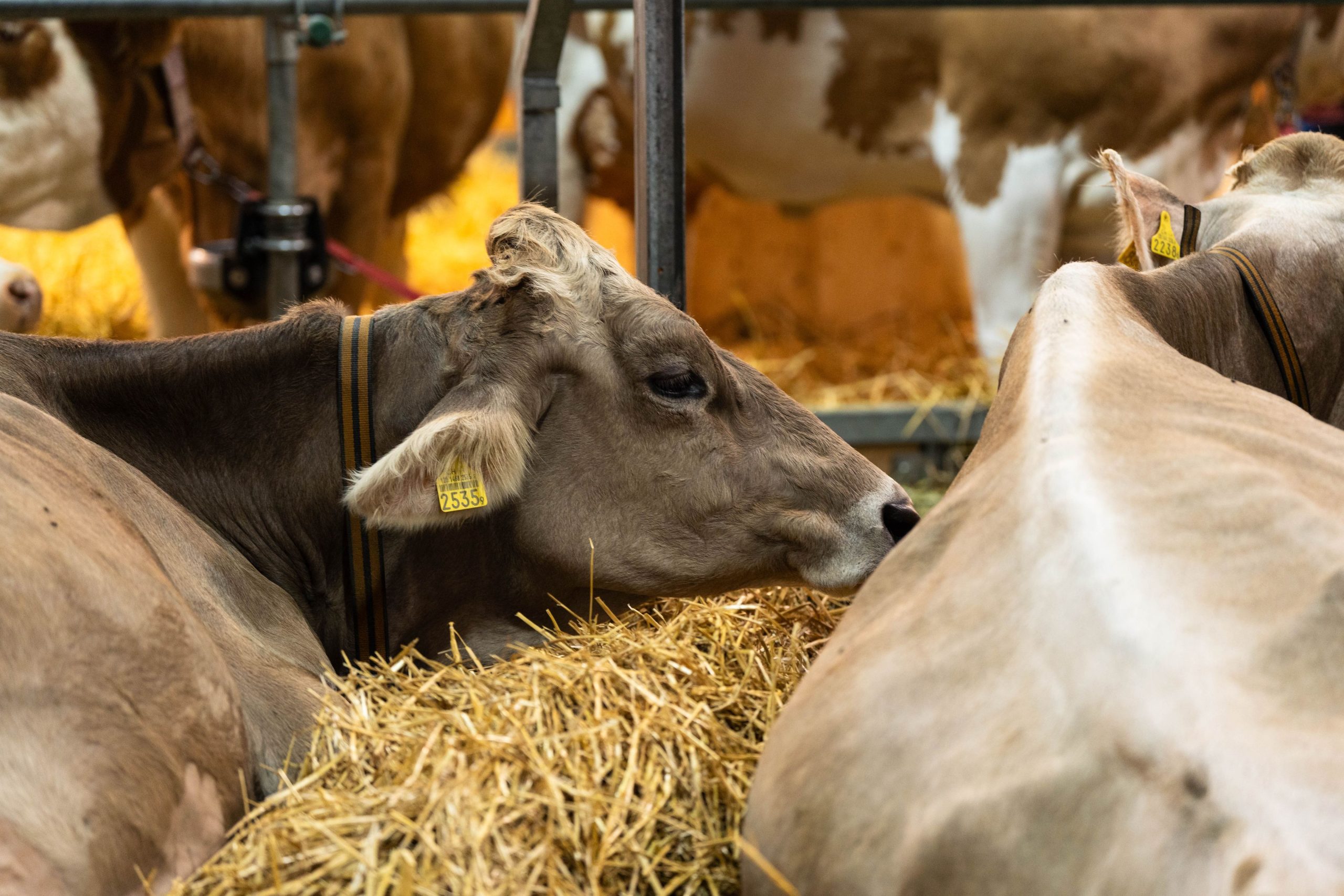 Selena Gomez: Rare Beauty, prise au sérieux et conseils de Taylor Swift révélés au Fortune Summit