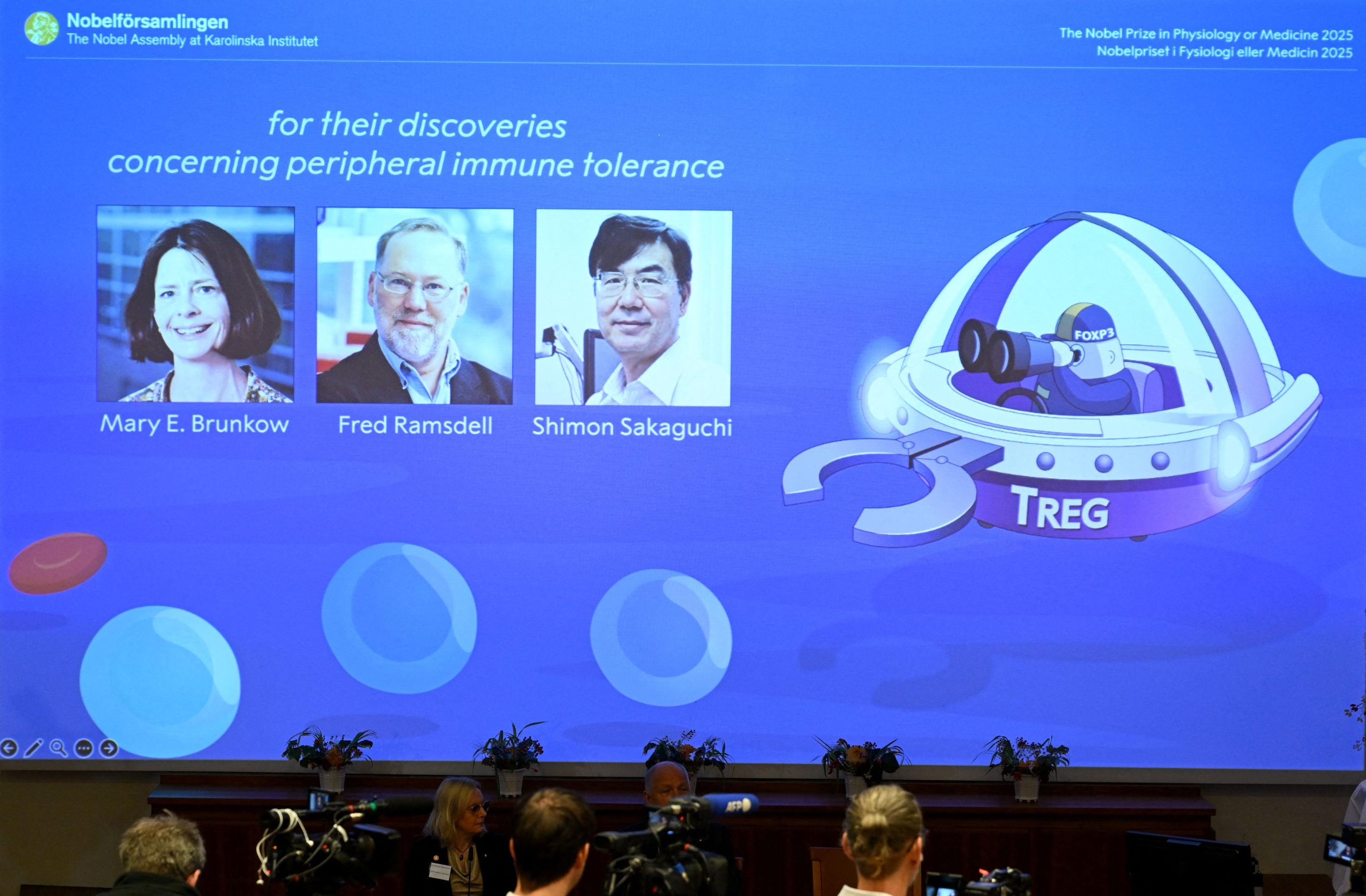 Prix Nobel de médecine 2025 : des chercheurs américains et japonais récompensés pour leurs travaux sur la tolérance immunitaire