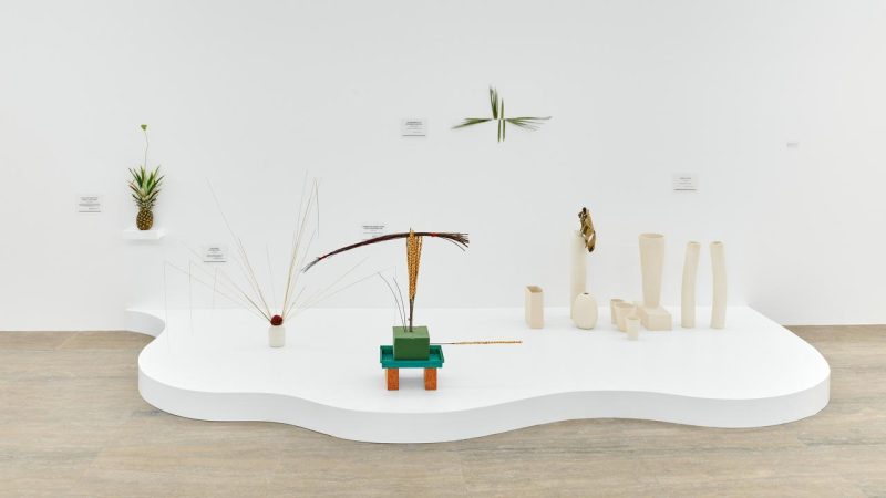 Foire OLMA à Saint-Gall: trois bovins échappés blessent deux enfants, l’un abattu et une enquête ouverte