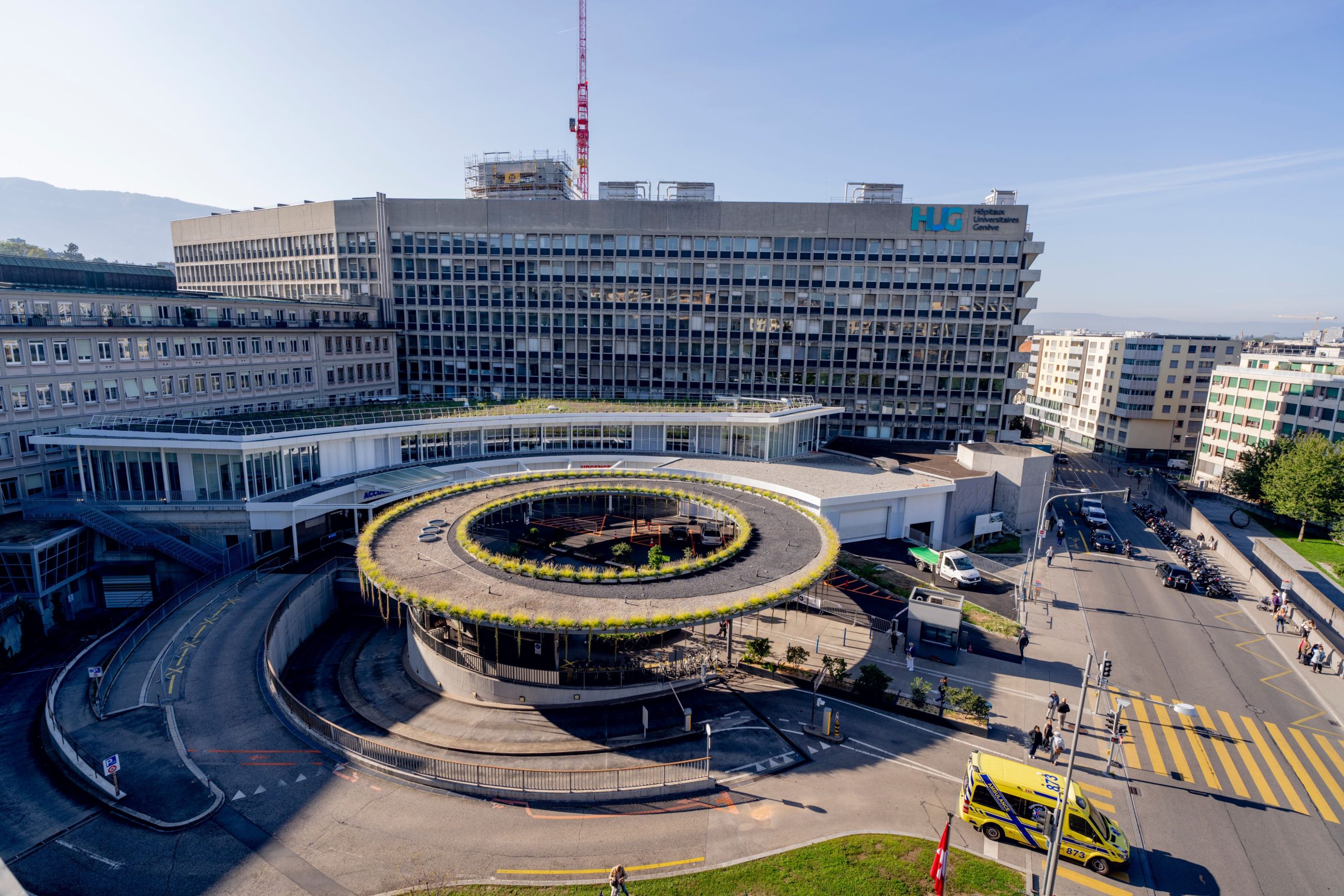 Animaux de compagnie et bien-être: comprendre leurs effets sur la santé et le quotidien
