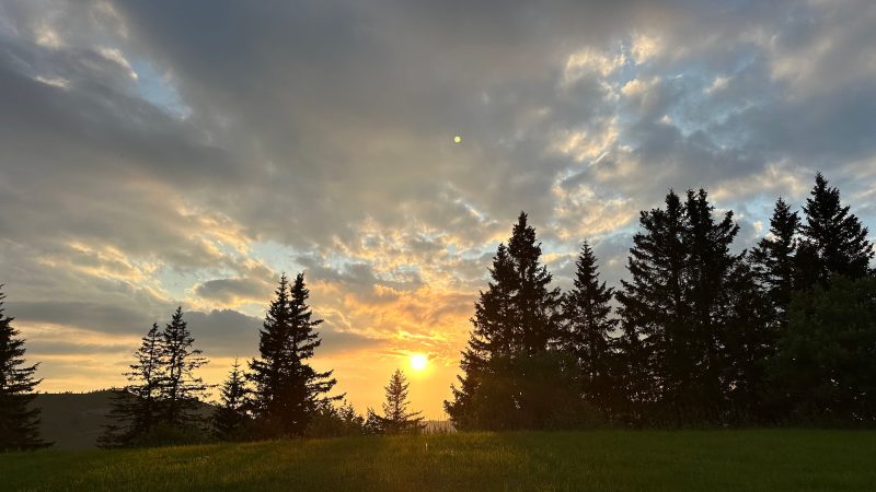 Fantômes et illusions d’optique au Kunstmuseum de Bâle : voyage entre science, spiritisme et médias