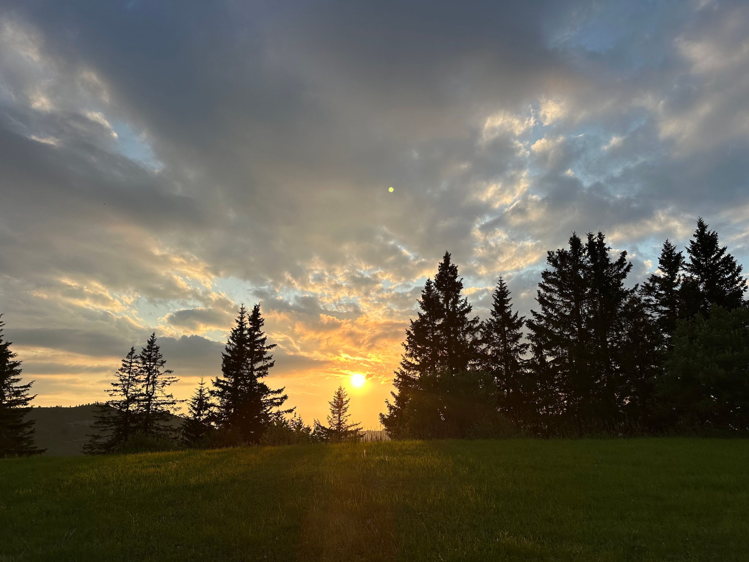 Fantômes et illusions d’optique au Kunstmuseum de Bâle : voyage entre science, spiritisme et médias